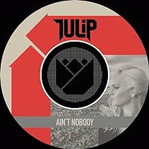 Tulip : Ain’t Nobody